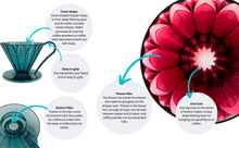 Load image into Gallery viewer, CAFEC Cup 4 Pour-Over Tritan Flower Dripper | TFD-4